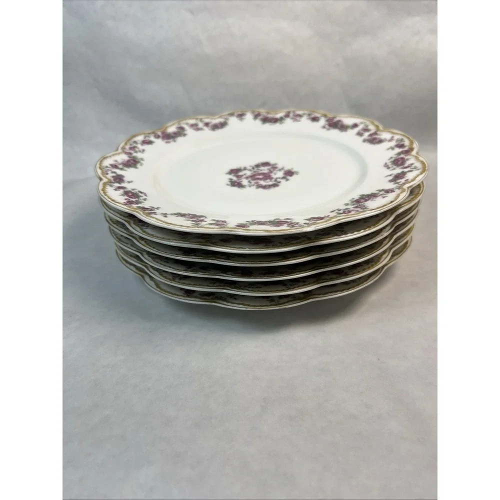 Haviland & Co Limoges Schleiger 270 Luncheon‎ Plates. 8.5